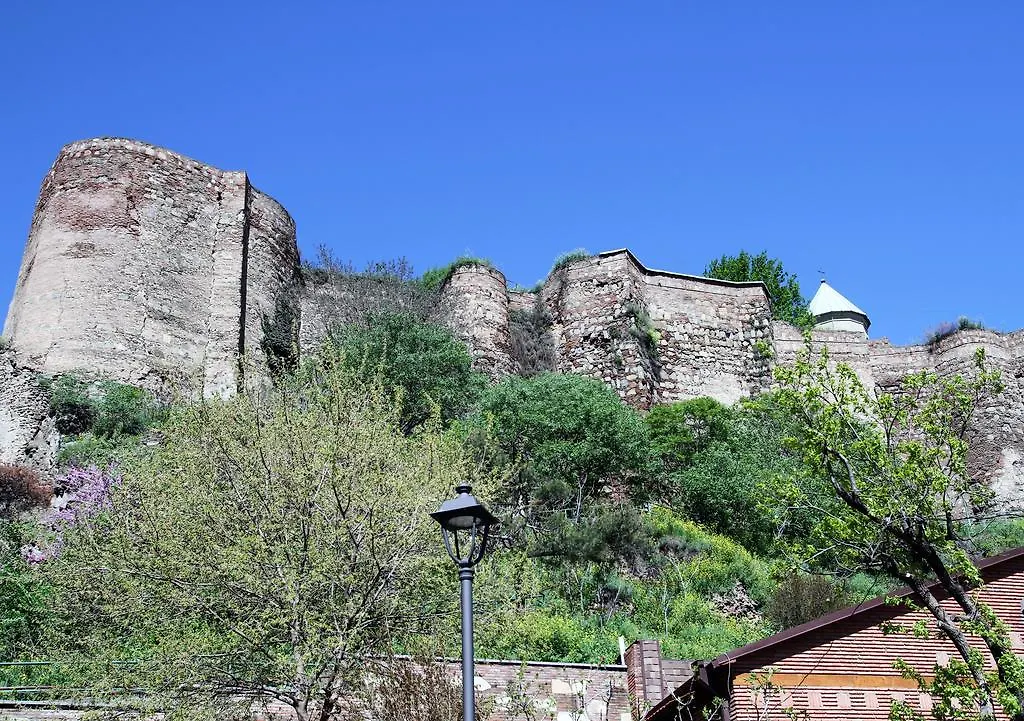 Apartment On Botanikuri Tbilisi